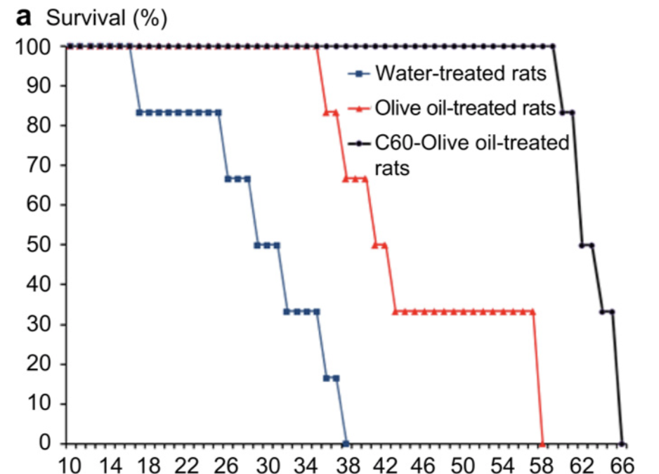 The Prolongation of the Lifespan of Rats by Repeated Oral Administration of C60 Fullerene