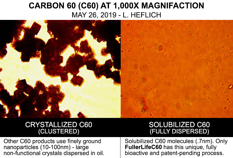 Carbon 60 (C60) at 1000 times magnification. Crystallized (clustered) vs. solubilized.