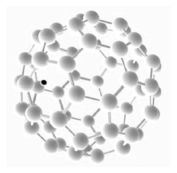 Nanoparticle Toxicity