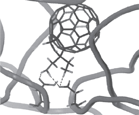 Medicinal applications of fullerenes
