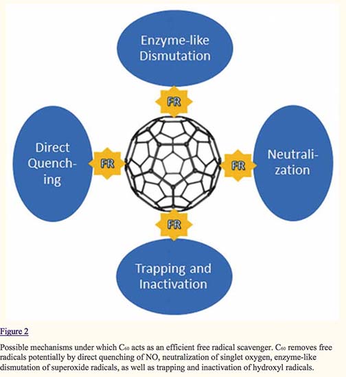 The Application of Buckminsterfullerene C60 and derivatives in orthopaedic research