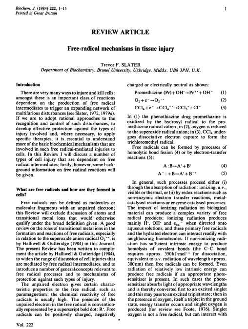 Free-radical mechanisms in tissue injury