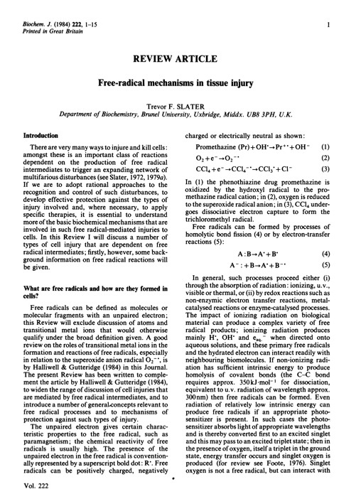 Free radicals mechanisms in tissue injury