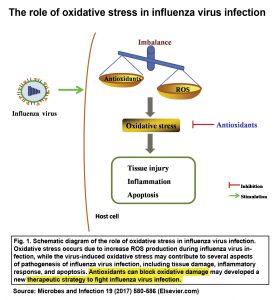 Antioxidants can block ROS