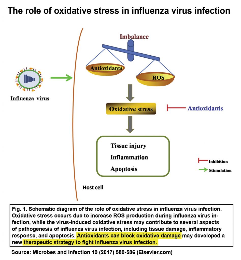 oxidative stress influenza virus infection
