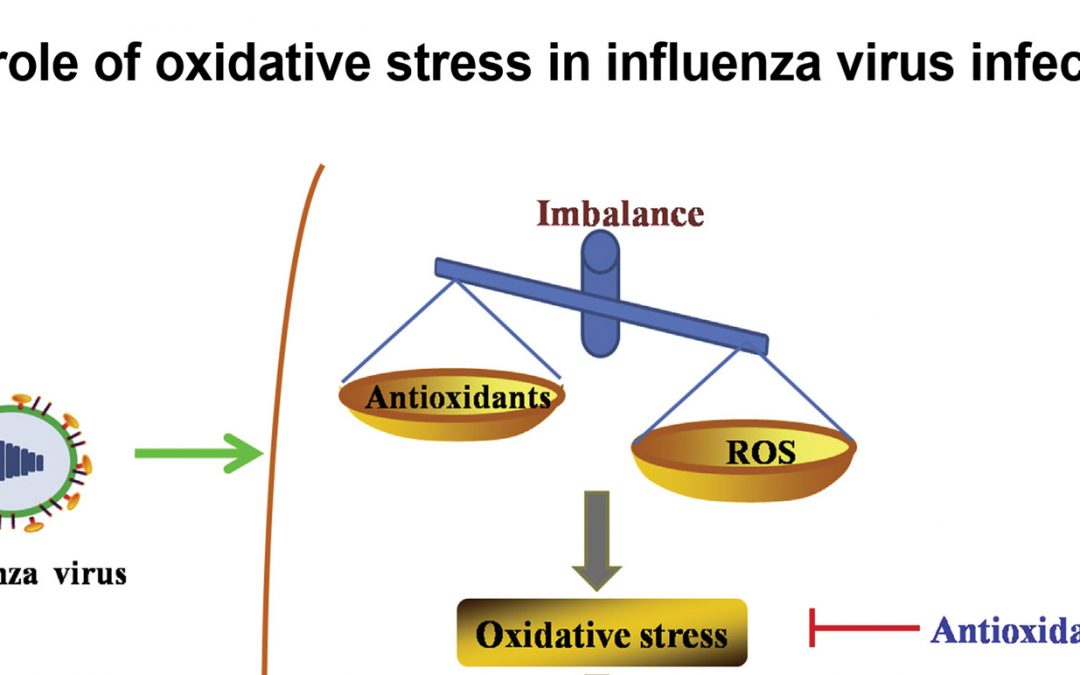 Influenza blocked by antioxidants