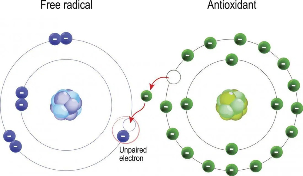 Free-radicals and Antioxidants